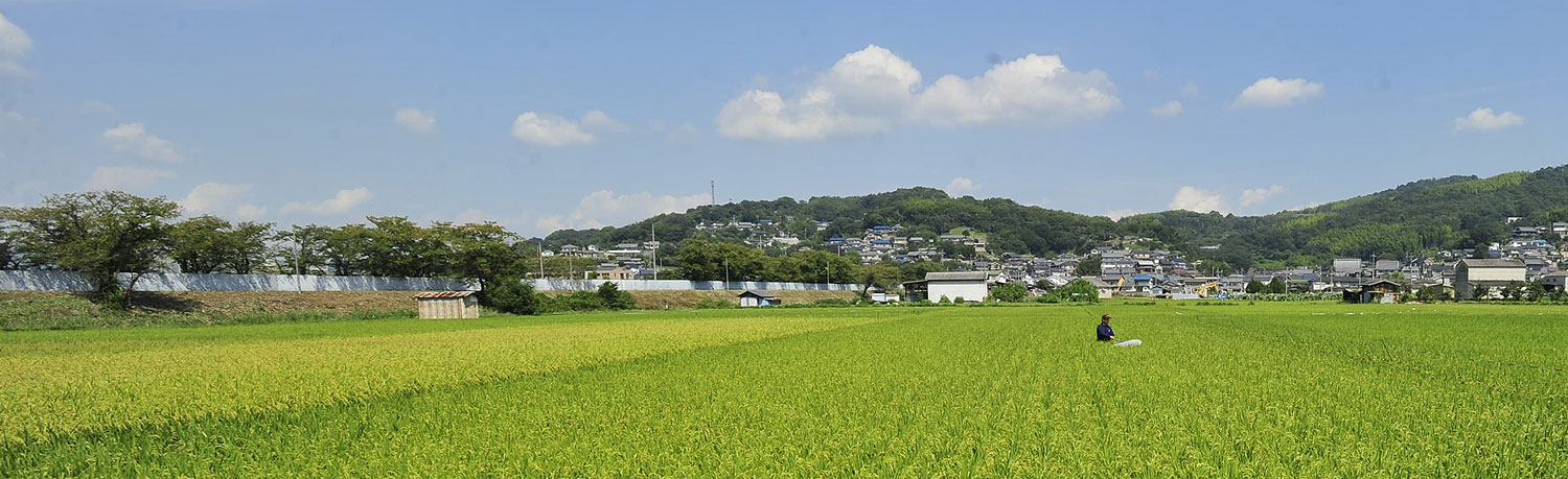 大信産業の事業とは